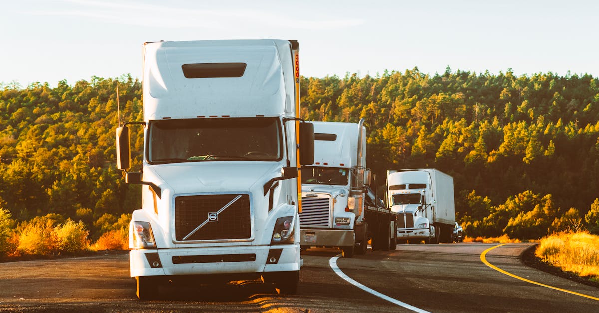 7 Essential Tips for Managing Freight Effectively
