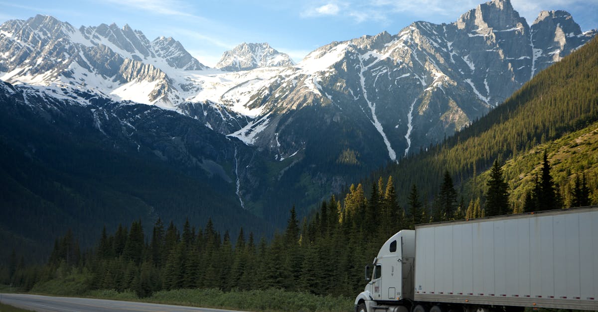 The Historical Evolution of Returns Processing in E-commerce